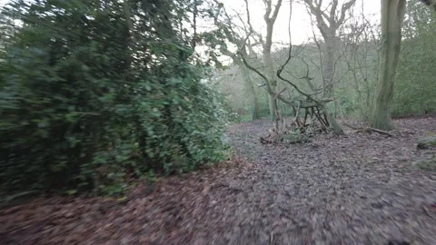 Jogging in Woodland 2 Stock Footage 146145668