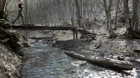 Jogging in the woods Stock Footage 666496