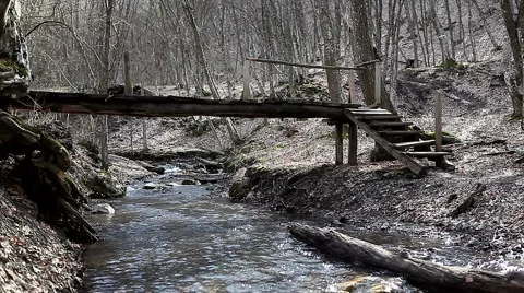 Jogging in the woods Stock Footage 1012843