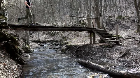 Jogging in the woods Stock Footage 1012854