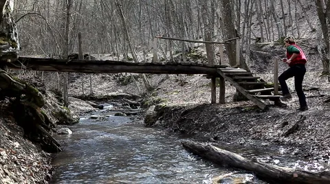 Jogging in the woods Stock Footage 1012865