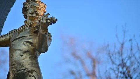 Johann strauss monument Stock Footage 296526675