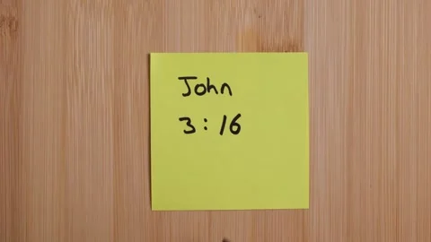 John 3 16 Gospel Message Stock-Footage 288192574