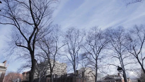 John Barry Statue in Park Stock Footage 113069213