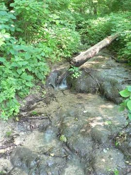 John Bryan State Park, Ohio Stock Photos