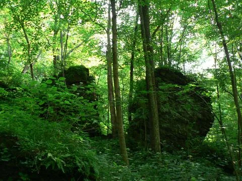 John Bryan State Park, Ohio Stock Photos
