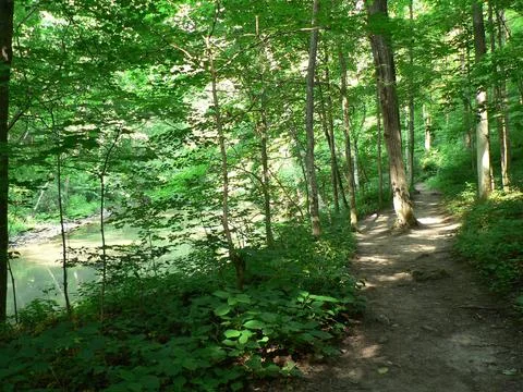 John Bryan State Park, Ohio Stock Photos