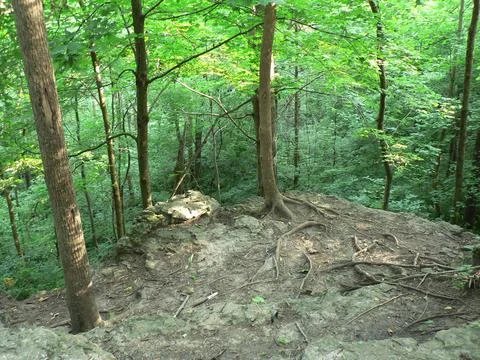 John Bryan State Park, Ohio Stock Photos