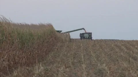 John Deere Combine and Grain Cart Front View Stock Footage 42310222