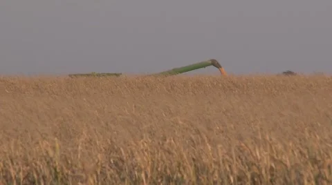 John Deere Combine and Grain Cart Side View Harvest Stock Footage 42526616