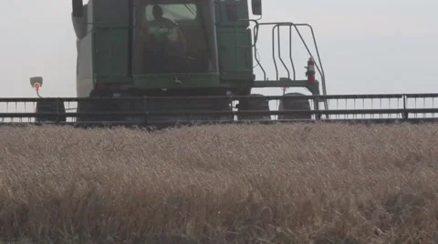 John Deere Combine Front View - Wheat Harvest Stock Footage 65026503