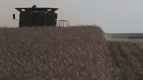 John Deere Combine Ground Shot - Wheat Harvest Stock Footage 65026505
