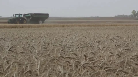 John Deere Combine Ground Shot  Stock-Footage 65029183
