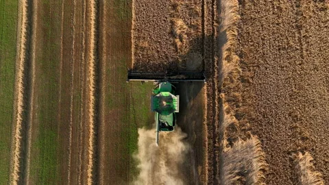 John Deere combine harvester on grain harvest. Wheat harwesting in field. Video stock 204953096