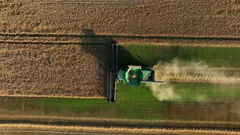 John Deere combine harvester on grain harvest. Wheat harwesting in field. Stock-Footage 204953181