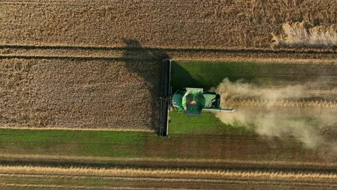 John Deere combine harvester on grain harvest. Wheat harwesting in field. 動画素材 204953375