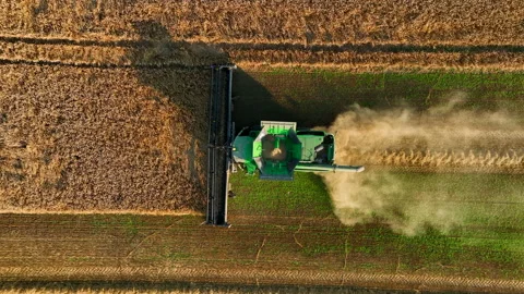 John Deere combine harvester on grain harvest. Wheat harwesting in field. Video stock 204953607