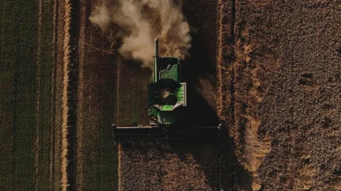 John Deere combine harvester on grain harvest. Wheat harwesting in field. Vídeo Stock 204953818