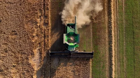 John Deere combine harvester on grain harvest. Wheat harwesting in field. 스톡 동영상 204953900