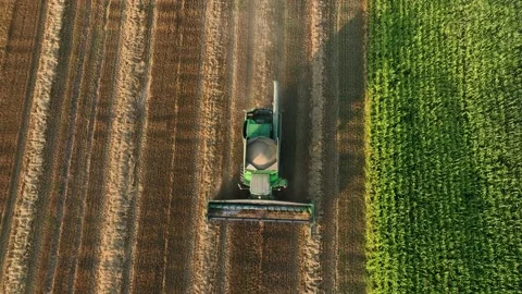 John Deere combine harvester on grain harvest. Wheat harwesting in field. Stockbeeldmateriaal 204954015
