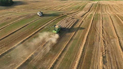John Deere combine harvester on grain harvest. Vidéo 204988012