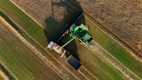 John Deere combine harvester on grain harvest. 스톡 동영상 204990918