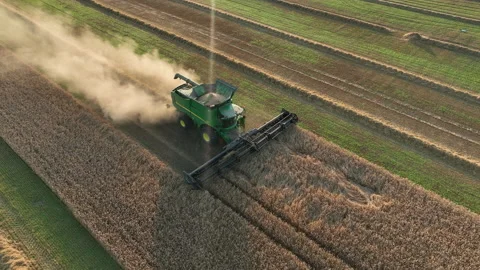 John Deere combine harvester on grain harvest. Vídeos de archivo 204991987