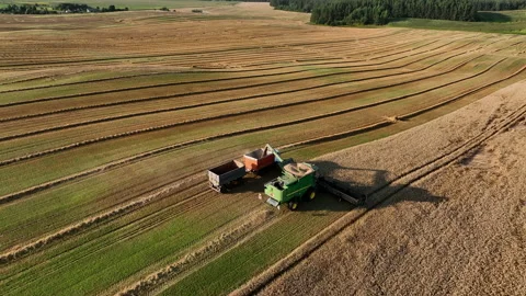 John Deere combine harvester on grain harvest. Vídeo Stock 205004559