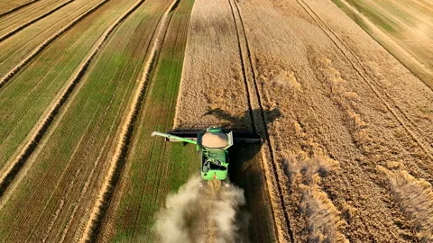 John Deere combine harvester on grain harvest. Wheat harwesting in field. Stock Footage 226912901