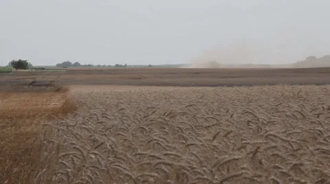John Deere Combine Medium Shot  Stock-Footage 65029198