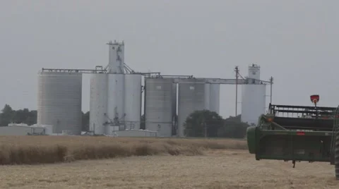 John Deere Combine Rear View - Wheat Harvest Video stock 65026615