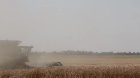 John Deere Combine Rear View  Stock-Footage 65029215