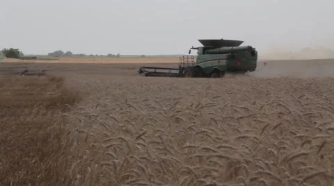 John Deere Combine Rear View Stock-Footage 65029261