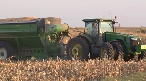 John Deere Grain Cart Corn Harvest Stock Footage 42525166