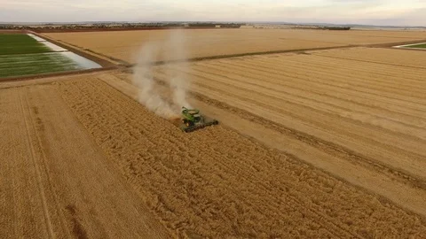 John Deere header harvesting wheat in rural nsw australia at sunset Stockbeeldmateriaal 94118156