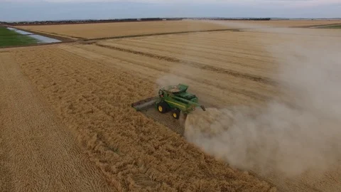 John Deere header harvesting wheat in rural nsw australia at sunset Stock Footage 94118508