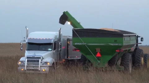 John Deere Tractor Grain Cart and Semi Truck Medium Shot.mp4 Stock Footage 42525152