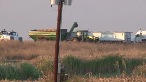 John Deere Tractor Grain Cart and Semi Truck Stock-Footage 42525635