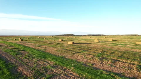John Deere Tractor with round baler making Hay Bales in an agricultural field Stock Footage 252769128