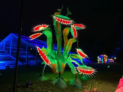 John Lewis Venus Flytrap Christmas light at Kew Gardens 库存照片