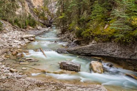 Johnston Creek Stock Photos