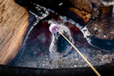 Join in the Festivity Stock Photos