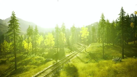 Join us to experience untouched wilderness filled with bright sunlight Stock Footage 341568113