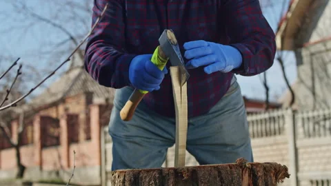 Join this wise old man and his family as they work together to harvest firewood Stock Footage 240523401