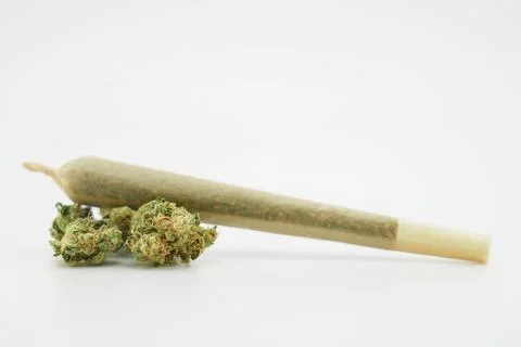 A joint after rolling, with a paper filter, marijuana cigarette, Cannabis buds Stock Photos