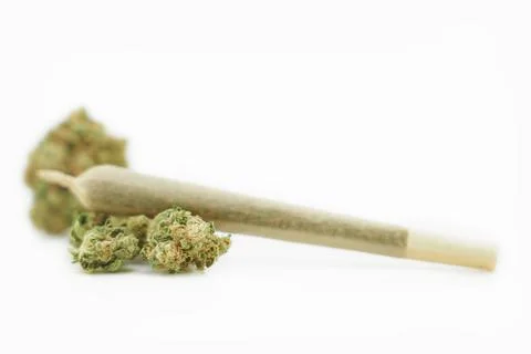 A joint after rolling, with a paper filter, marijuana cigarette, Cannabis buds Stock-Fotos