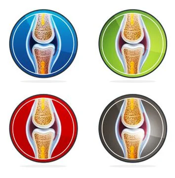 Joint anatomy symbol set Stock Illustration