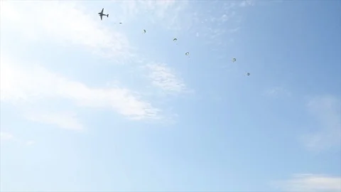 The joint-forces and historical reenacter parachute jump - 2018 Stock Footage 95606036