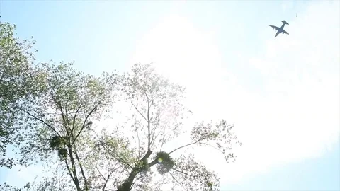 The joint-forces and historical reenacter parachute jump - 2018 Stock Footage 95606123