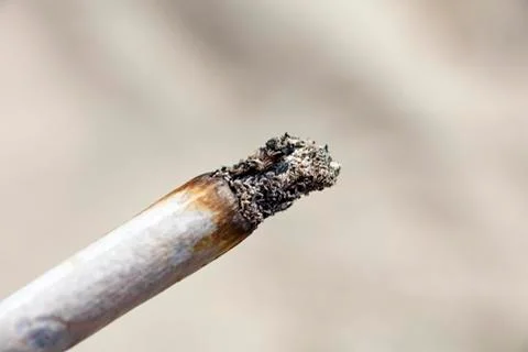 Joint macro background high quality 50,6 Megapixels Stock Photos